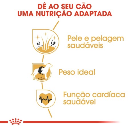 Ração para cão Royal Canin Cocker