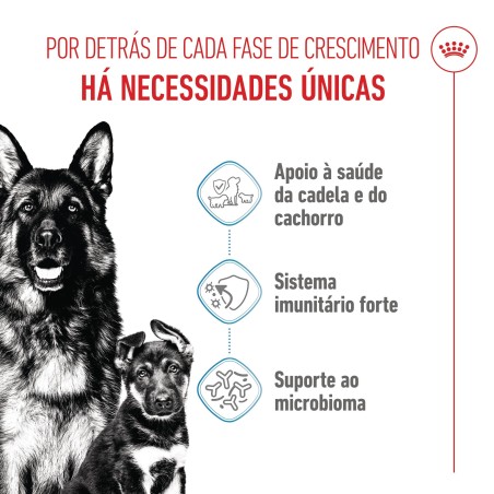 Ração para cão - Royal Canin Maxi Starter Mother & Babydog