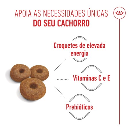 Ração para cão - Royal Canin Maxi Starter Mother & Babydog
