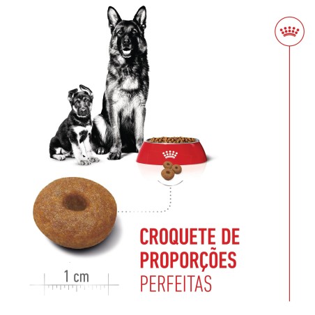 Ração para cão - Royal Canin Maxi Starter Mother & Babydog