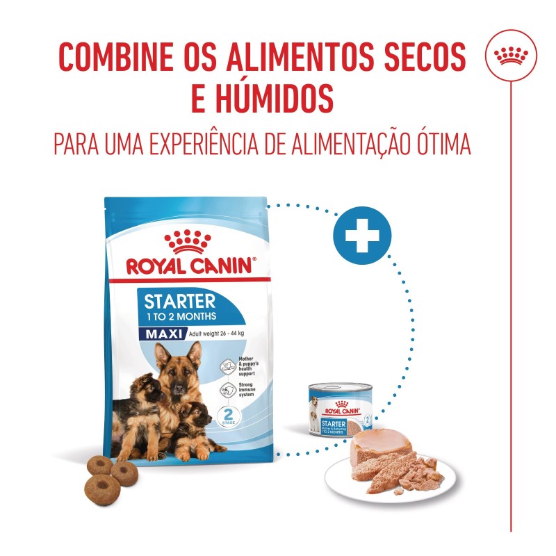 Ração para cão - Royal Canin Maxi Starter Mother & Babydog