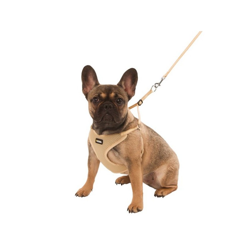 Peitoral com trela para cachorros - Kerbl