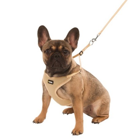 Peitoral com trela para cachorros - Kerbl
