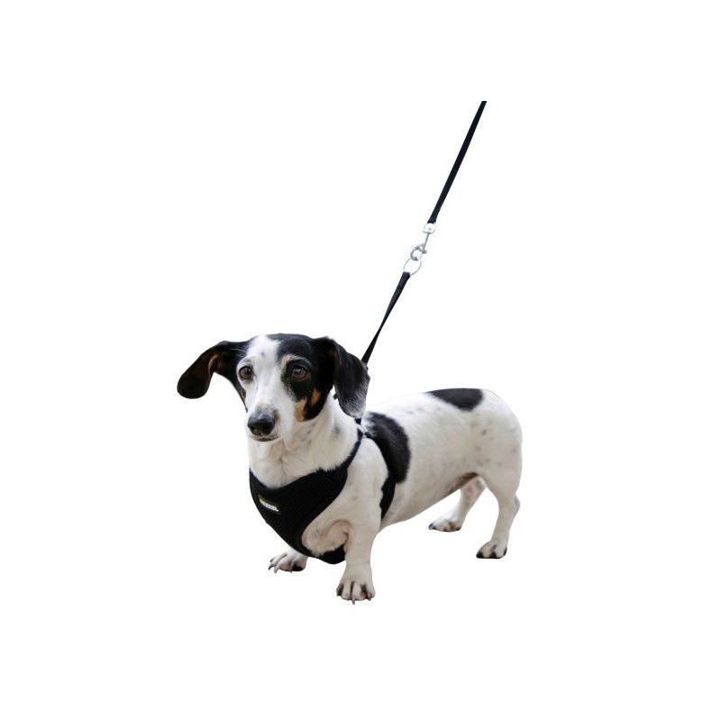 Peitoral com trela para cachorros - Kerbl