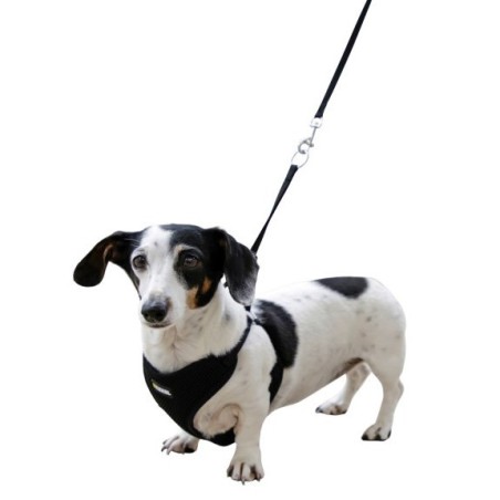 Peitoral com trela para cachorros - Kerbl