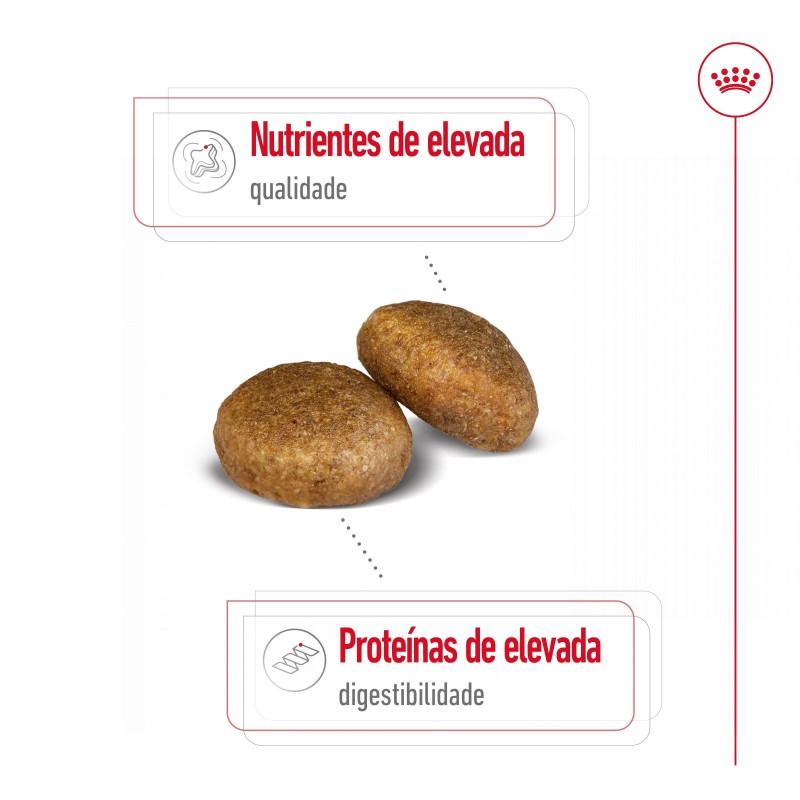 Ração para cão Royal Canin Maxi Adulto