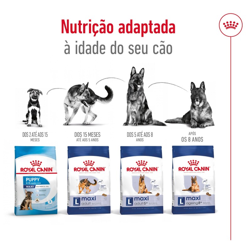 Ração para cão Royal Canin Maxi Adulto