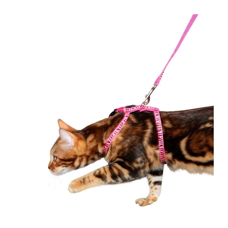 Peitoral + Trela para Gato