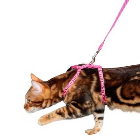 Peitoral + Trela para Gato