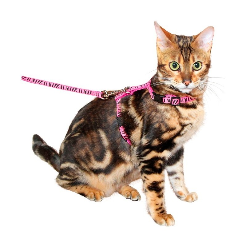 Peitoral + Trela para Gato