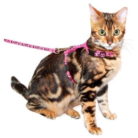 Peitoral + Trela para Gato