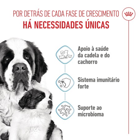 Ração para cão - Royal Canin Giant Starter Mother & Babydog