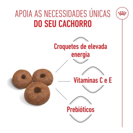 Ração para cão - Royal Canin Giant Starter Mother & Babydog