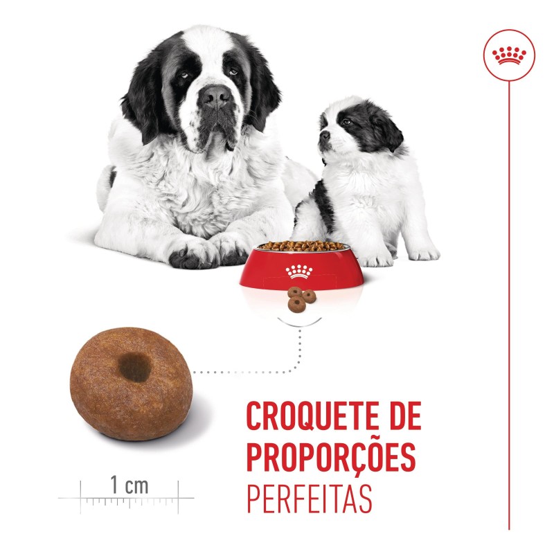 Ração para cão - Royal Canin Giant Starter Mother & Babydog