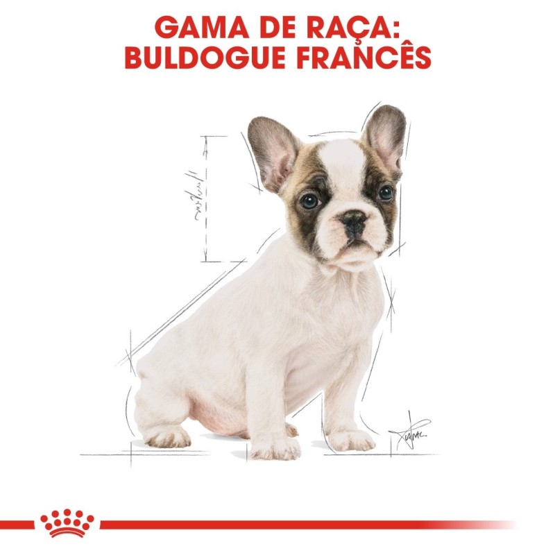 Ração para cão Royal Canin Bulldog Francês Puppy