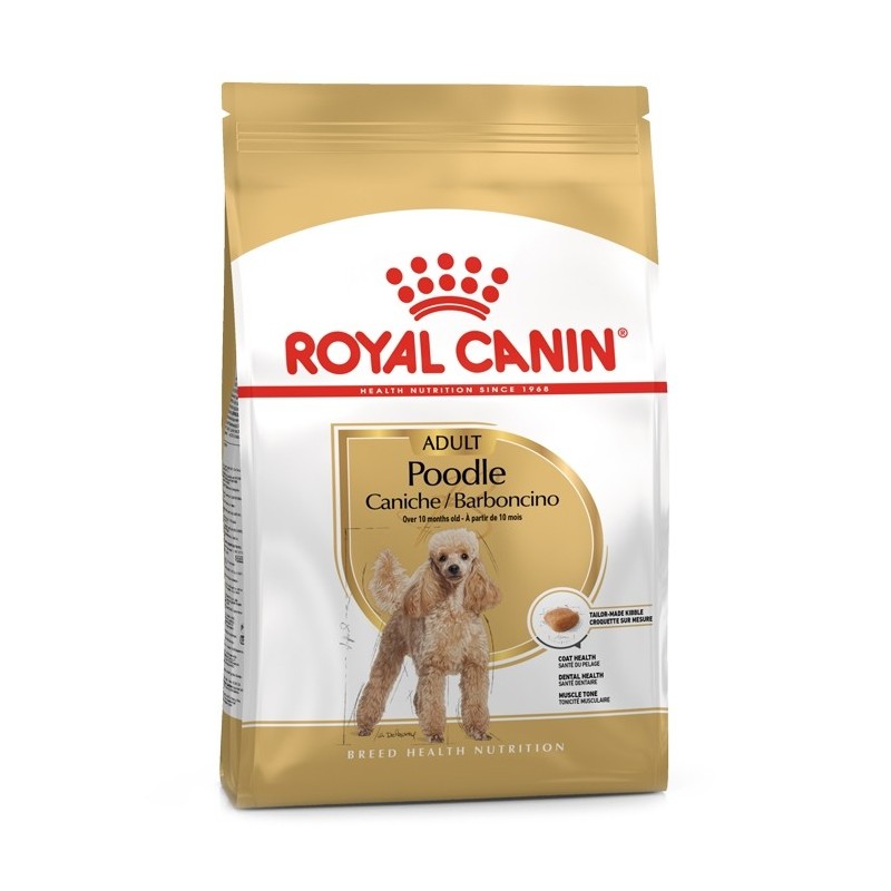 Ração para cão Royal Canin Poodle / Caniche