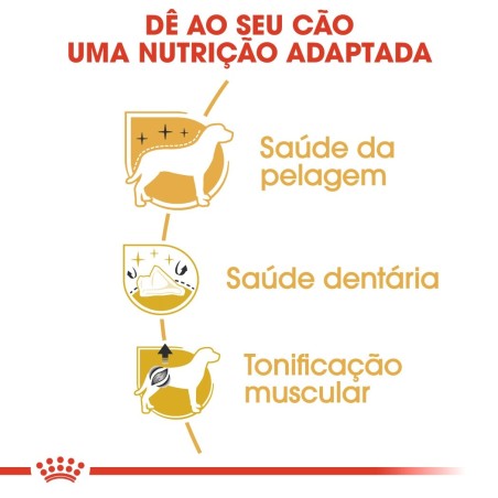 Ração para cão Royal Canin Poodle / Caniche