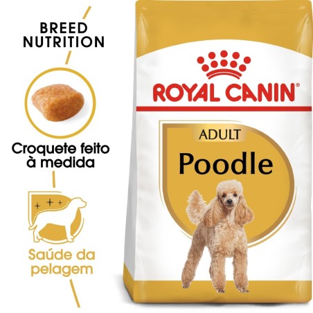 Ração para cão Royal Canin Poodle / Caniche