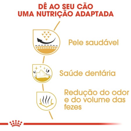 Ração para cão Royal Canin Shih Tzu