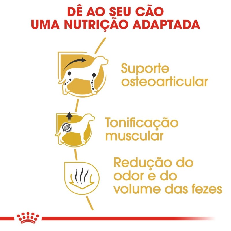 Ração para cão Royal Canin Dachshund