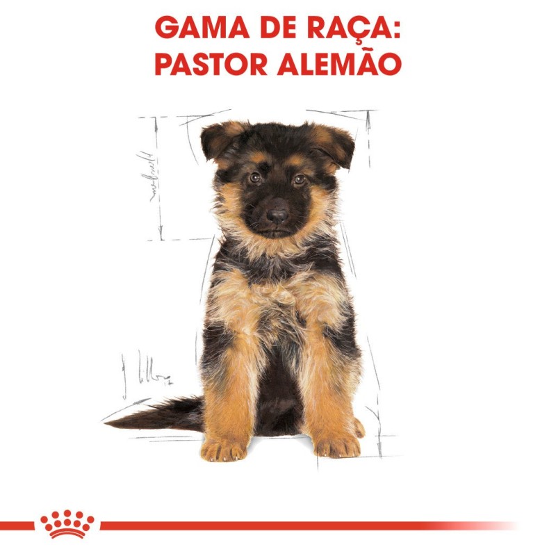 Ração para cão Royal Canin Pastor Alemão Puppy