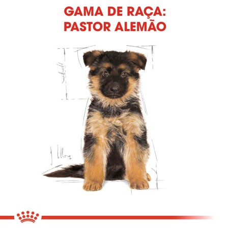 Ração para cão Royal Canin Pastor Alemão Puppy