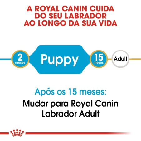 Ração para cão Royal Canin Labrador Retriever Puppy