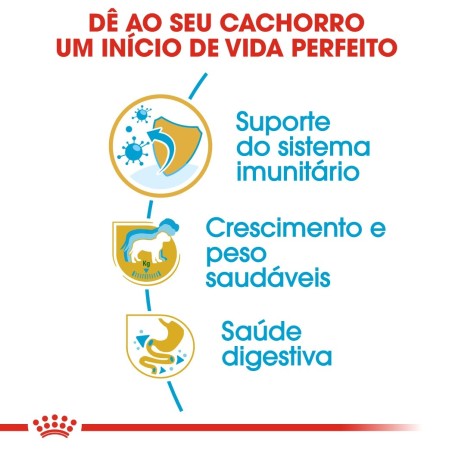 Ração para cão Royal Canin Labrador Retriever Puppy