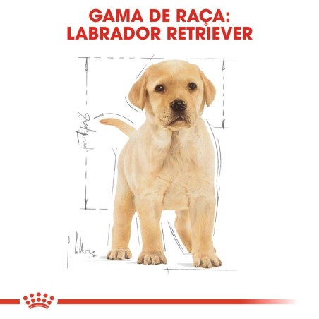 Ração para cão Royal Canin Labrador Retriever Puppy