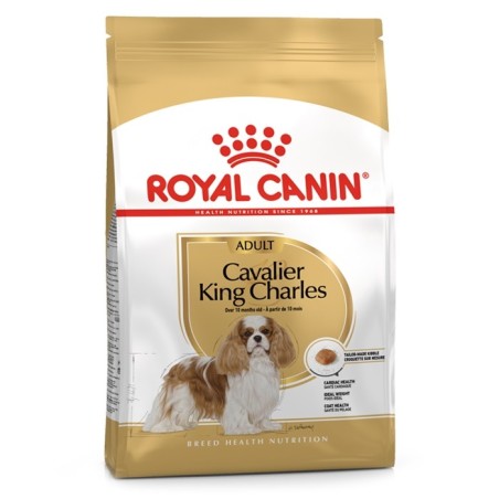 Ração para cão Royal Canin Cavalier King Charles