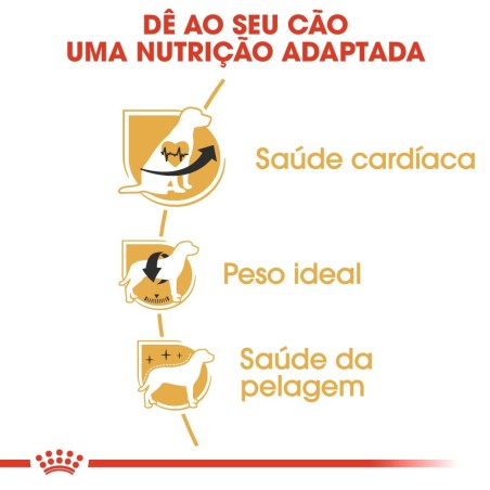 Ração para cão Royal Canin Cavalier King Charles