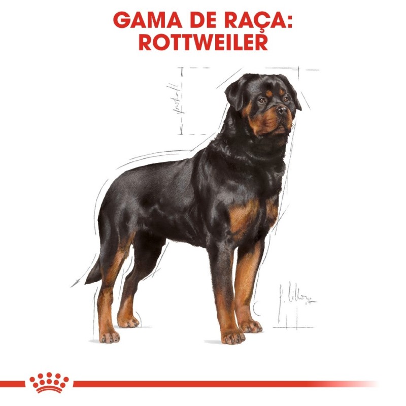 Ração para cão Royal Canin Rottweiler