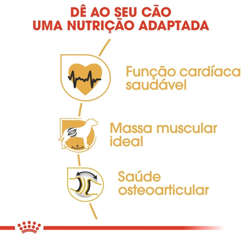 Ração para cão Royal Canin Rottweiler