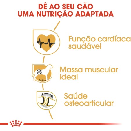 Ração para cão Royal Canin Rottweiler