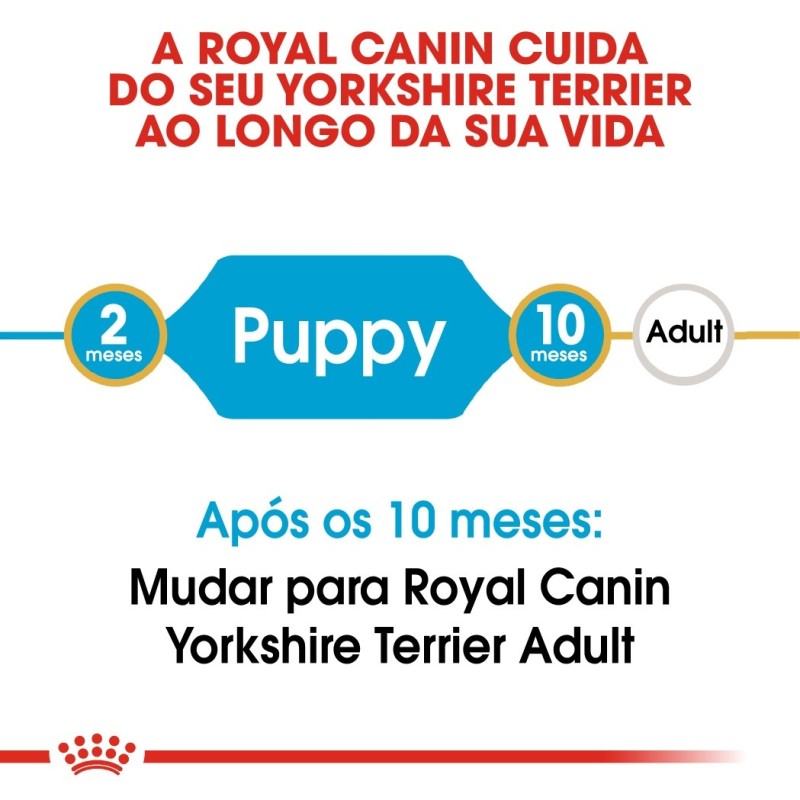 Ração para cão Royal Canin Yorkshire Terrier Puppy