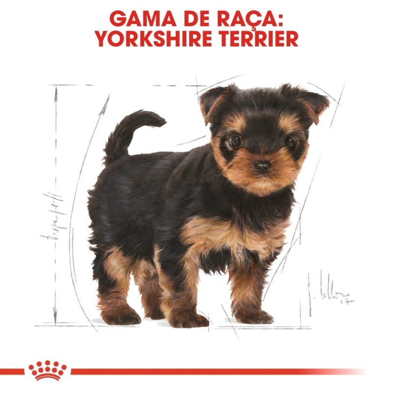 Ração para cão Royal Canin Yorkshire Terrier Puppy