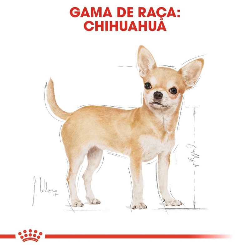 Ração para cão Royal Canin Chihuahua