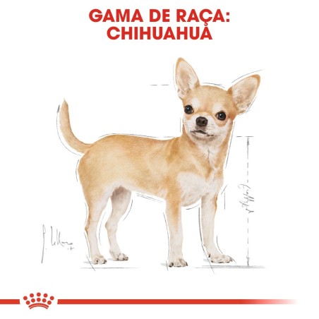 Ração para cão Royal Canin Chihuahua