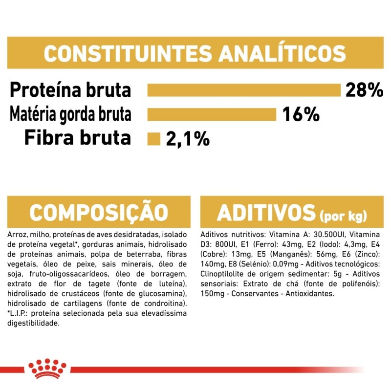 Ração para cão Royal Canin Chihuahua