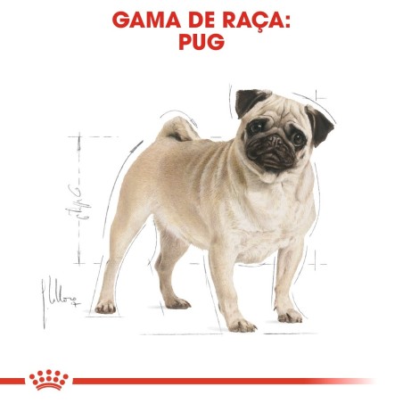 Ração para cão Royal Canin Pug