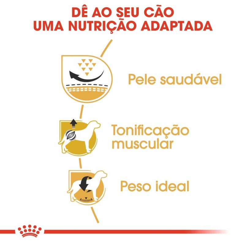 Ração para cão Royal Canin Pug