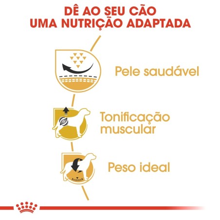 Ração para cão Royal Canin Pug