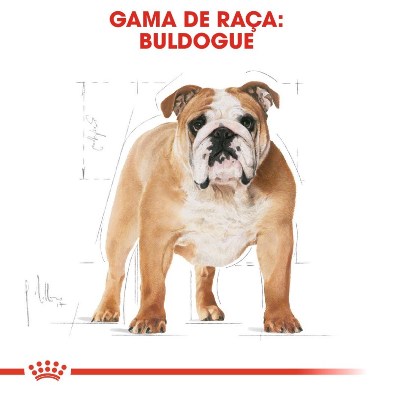 Ração para Cão Royal Canin Bulldog