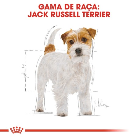 Ração para cão Royal Canin Jack Russell Terrier