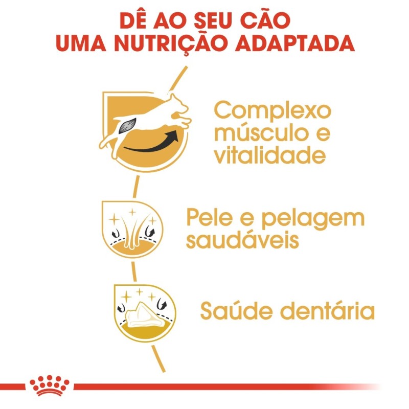 Ração para cão Royal Canin Jack Russell Terrier