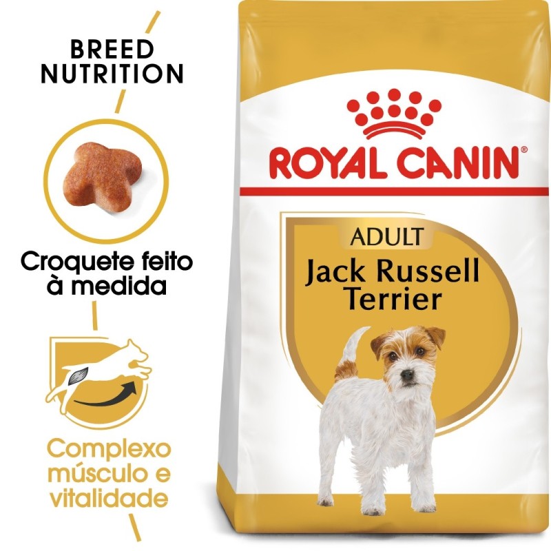Ração para cão Royal Canin Jack Russell Terrier