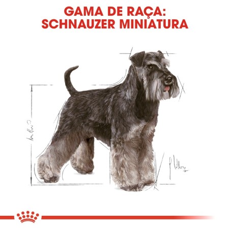 Ração para cão Royal Canin Schnauzer Miniatura
