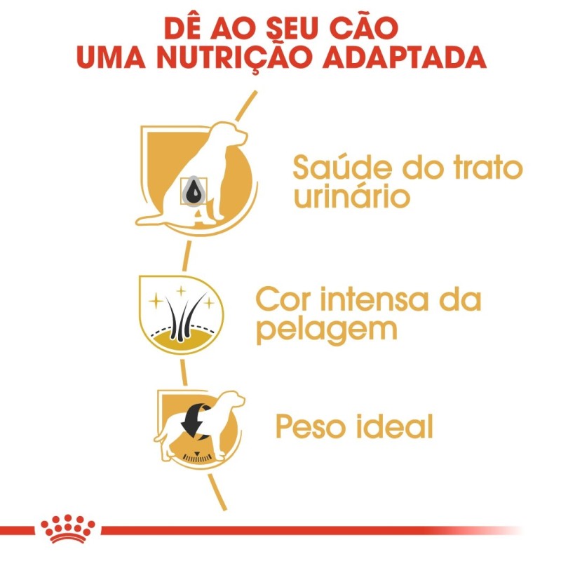 Ração para cão Royal Canin Schnauzer Miniatura