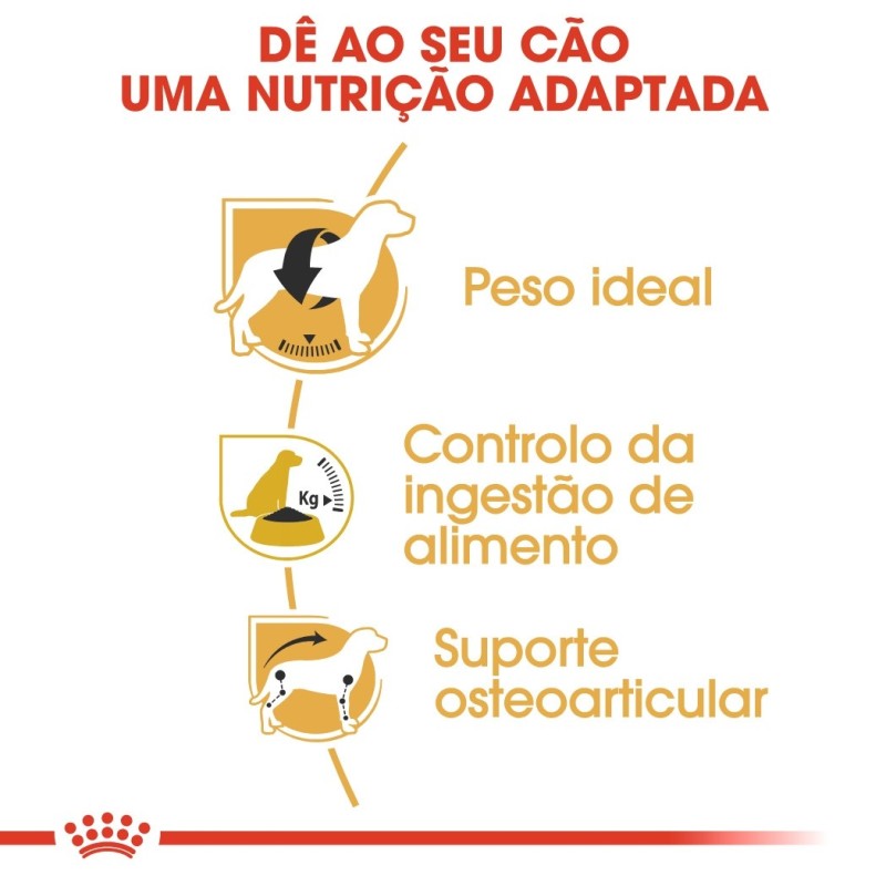Ração para Cão Royal Canin Beagle