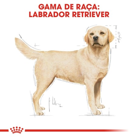 Ração para cão Royal Canin Labrador Retriever